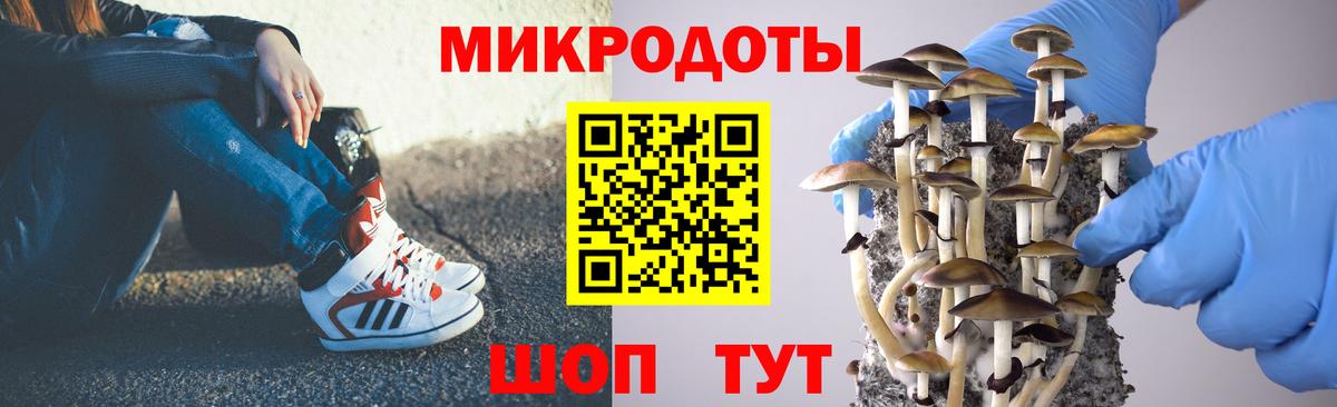 Галлюциногенные грибы GOLDEN TEACHER  как найти   Чайковский  Вход с VPN 